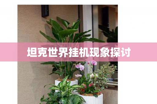坦克世界挂机现象探讨图片