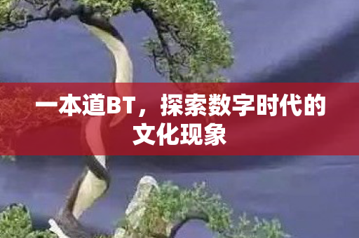 探索数字时代的文化现象图片