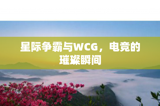 星际争霸与WCG图片