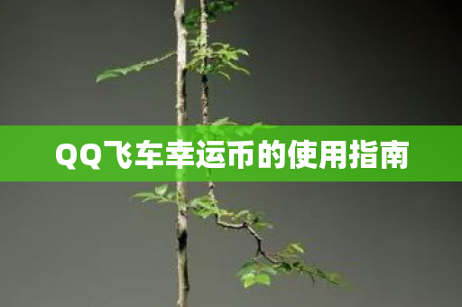 QQ飞车幸运币的使用指南图片