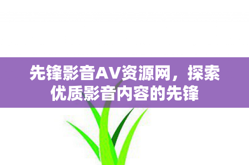 探索优质影音内容的先锋图片