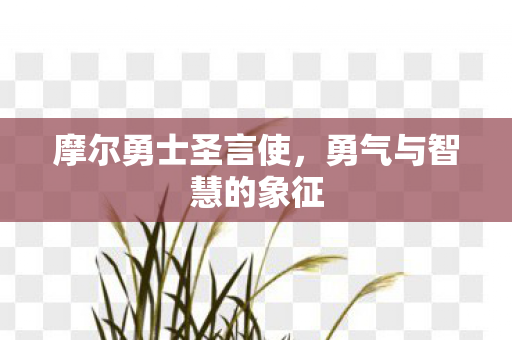 勇气与智慧的象征图片