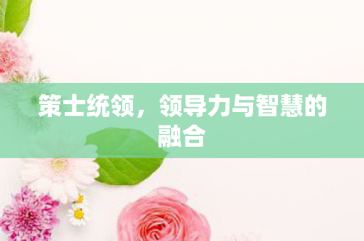 领导力与智慧的融合图片