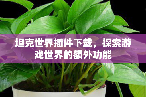 探索游戏世界的额外功能图片