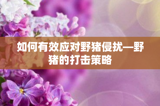 如何有效应对野猪侵扰图片