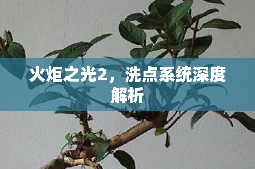 洗点系统深度解析图片