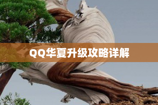 QQ华夏升级攻略详解图片