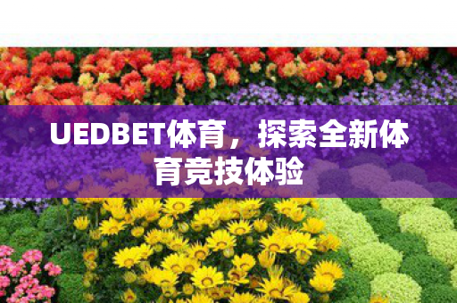 探索全新体育竞技体验图片