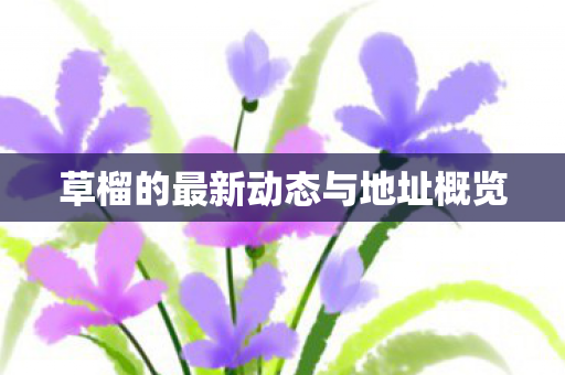 草榴的最新动态与地址概览图片