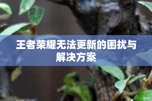 王者荣耀无法更新的困扰与解决方案图片
