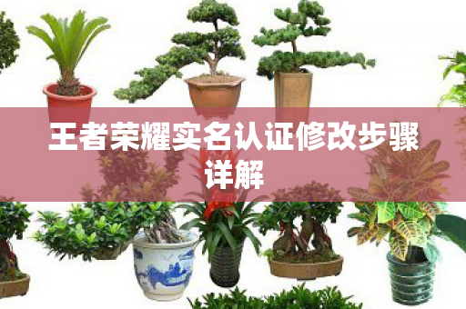 王者荣耀实名认证修改步骤详解图片