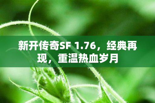 新开传奇SF 1图片