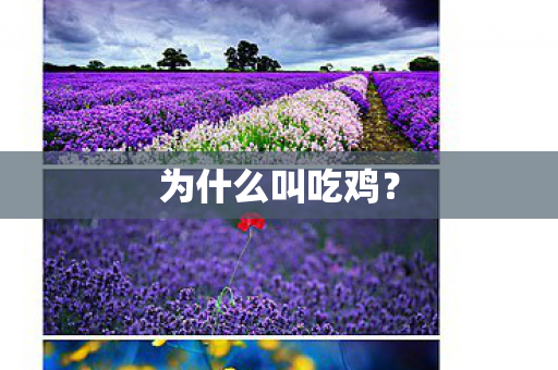 为什么叫吃鸡图片