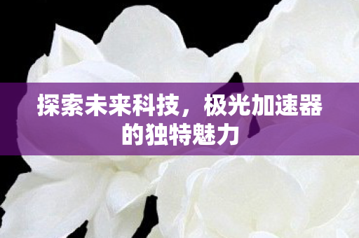 极光加速器的独特魅力图片