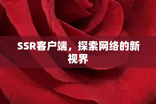 探索网络的新视界图片