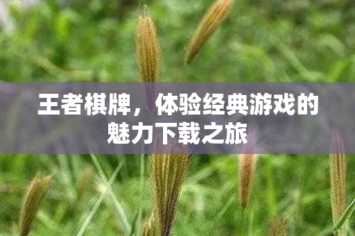 体验经典游戏的魅力下载之旅图片