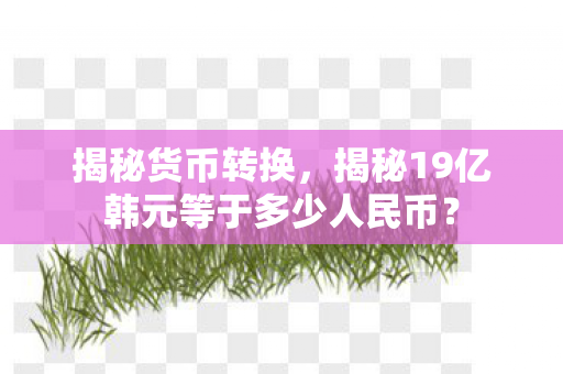 揭秘19亿韩元等于多少人民币图片