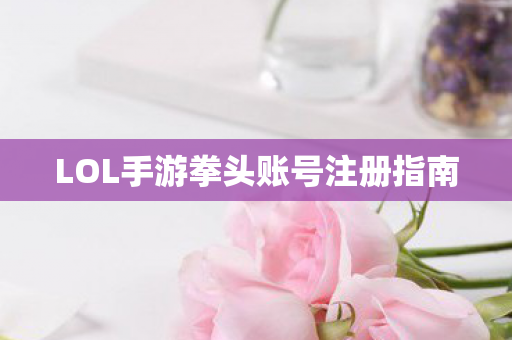 LOL手游拳头账号注册指南图片
