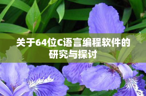 关于64位C语言编程软件的研究与探讨图片