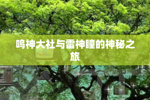 鸣神大社与雷神瞳的神秘之旅图片