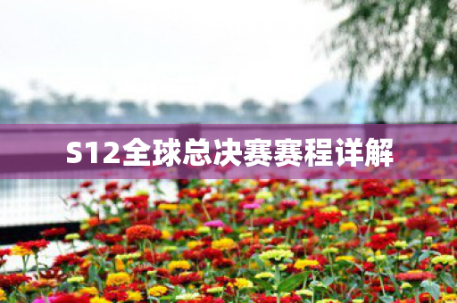 S12全球总决赛赛程详解图片
