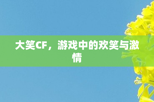 游戏中的欢笑与激情图片