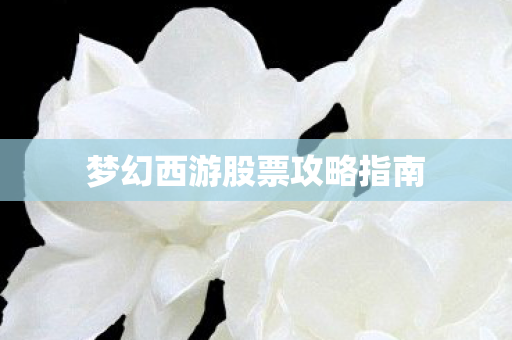 梦幻西游股票攻略指南图片