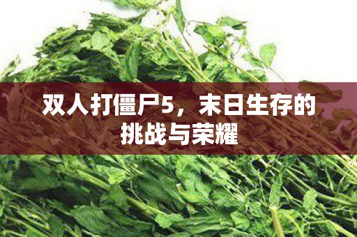 末日生存的挑战与荣耀图片
