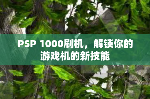 解锁你的游戏机的新技能图片