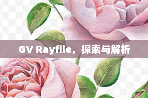 GV Rayfile图片