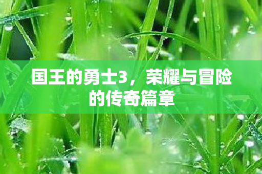 荣耀与冒险的传奇篇章图片