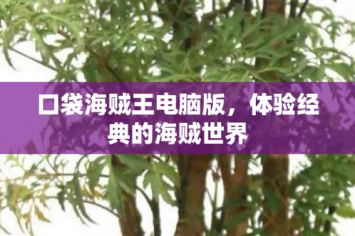 体验经典的海贼世界图片