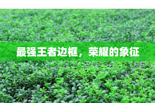最强王者边框图片