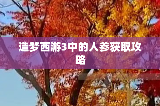 造梦西游3中的人参获取攻略图片