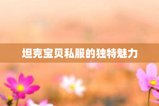 坦克宝贝私服的独特魅力图片