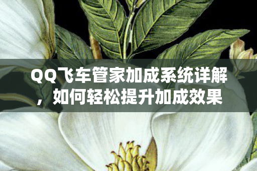 QQ飞车管家加成系统详解图片
