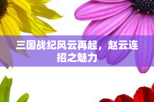 三国战纪风云再起图片