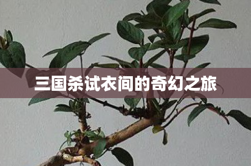 三国杀试衣间的奇幻之旅图片