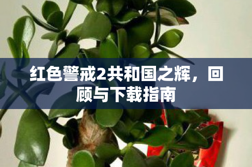 红色警戒2共和国之辉图片