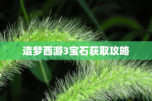 造梦西游3宝石获取攻略图片