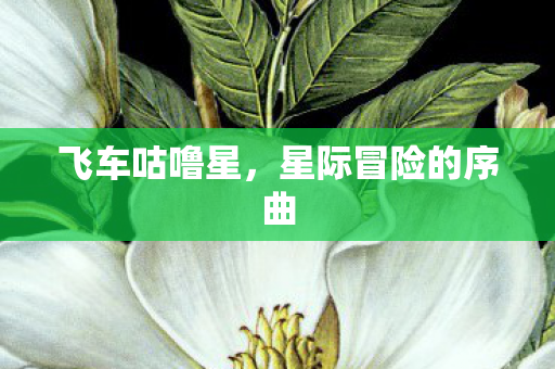 星际冒险的序曲图片