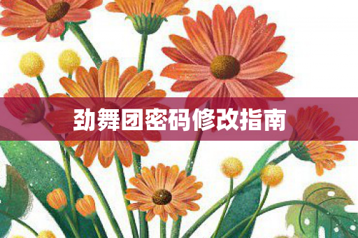 劲舞团密码修改指南图片