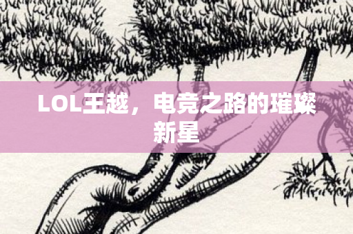 电竞之路的璀璨新星图片
