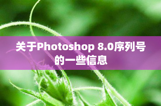 关于Photoshop 8图片