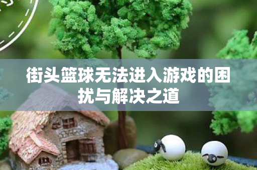 街头篮球无法进入游戏的困扰与解决之道图片