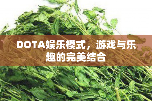 游戏与乐趣的完美结合图片