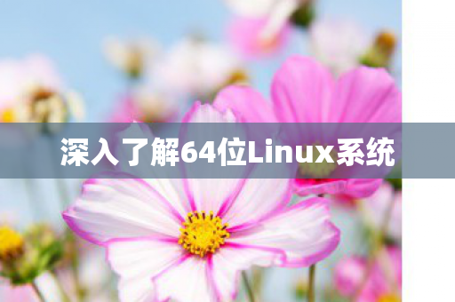 深入了解64位Linux系统图片