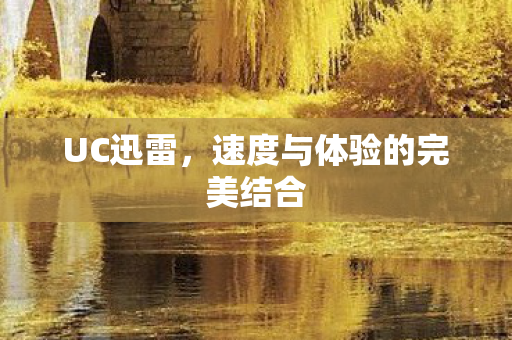 速度与体验的完美结合图片