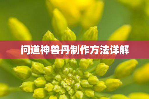 问道神兽丹制作方法详解图片
