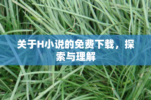 关于H小说的免费下载图片